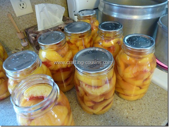 Home canned peaches by the Crafty Cousins (30)