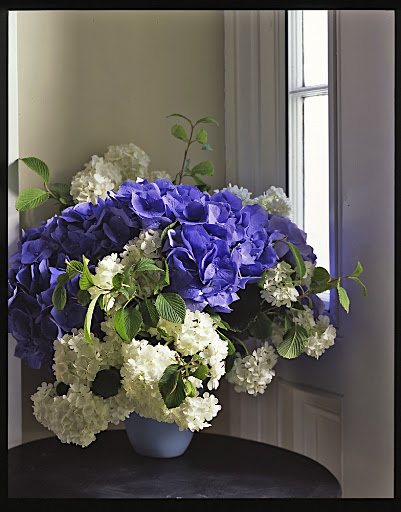 Flowers are another beautiful way to add blue to a room.