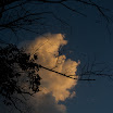 DSC_4995.jpg