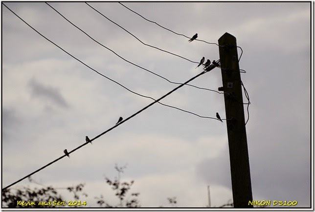 RSPB Middleton Lakes