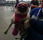 Another Royals fan at the game and dressed for the rain!