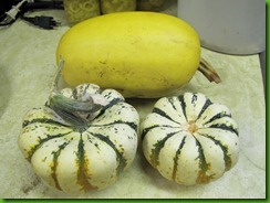 Squash