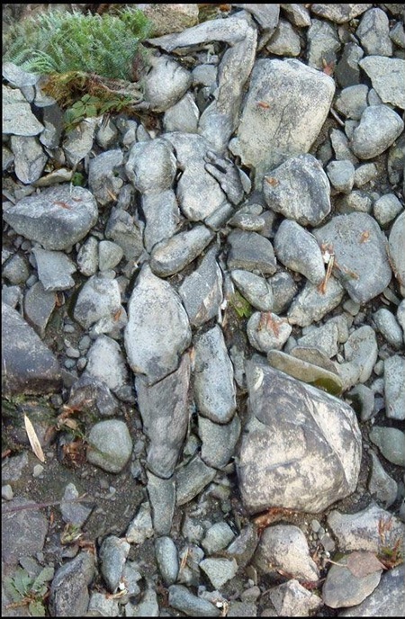 Can You See It