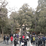 china-japan-2010-_0102.jpg