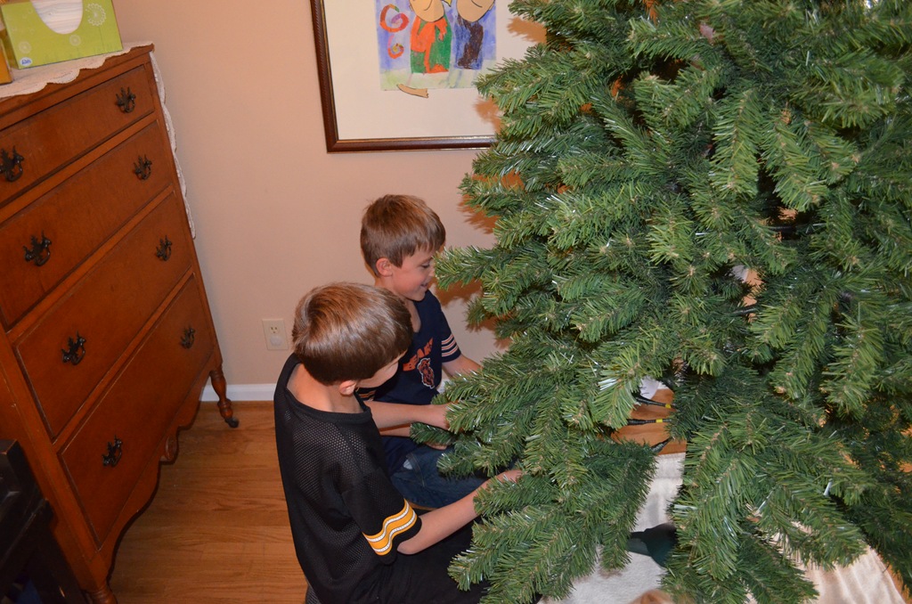 [DSC_0011%255B6%255D.jpg]