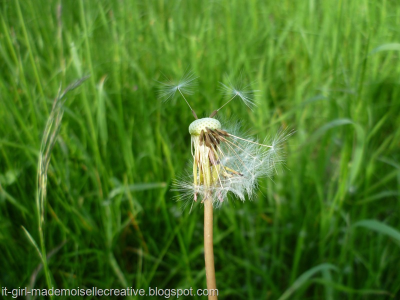 P1030537