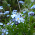 2011.05.24. - Stol