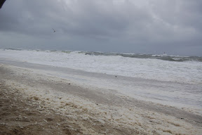 DSC_0121.JPG