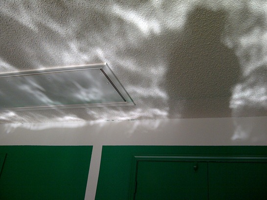 [IMG-20111201-01984%255B3%255D.jpg]
