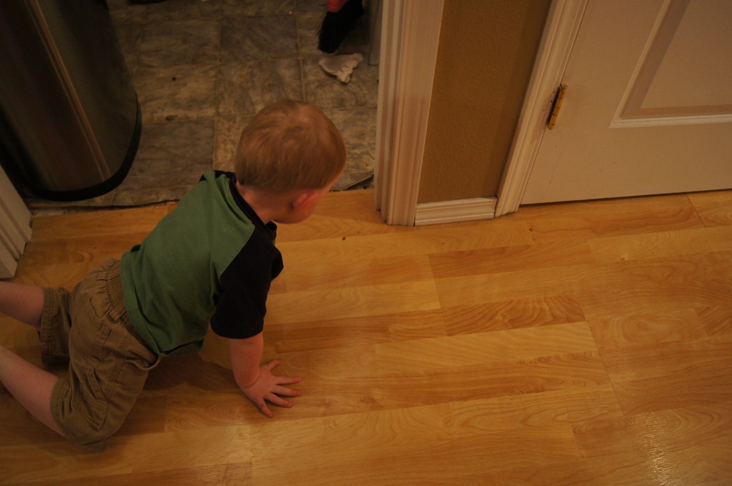 [DSC02420%255B3%255D.jpg]