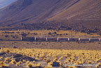 Tren5