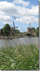 IMG_3878 IMG_3878