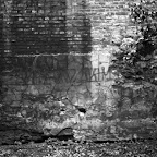 fot 0032_hmm7 (mur)_scal.jpg