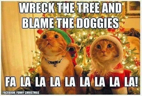 [wreck%2520the%2520tree%2520and%2520blame%2520the%2520doggies%255B2%255D.jpg]