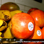IMG_2954.jpg