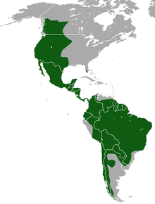 [Puma_area%255B7%255D.png]