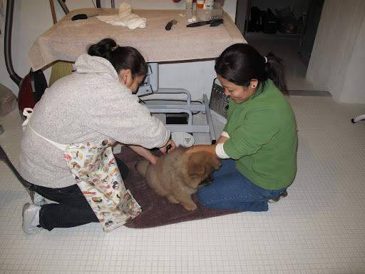 Uh-oh, Maria and Sanu have got me in their grasp!