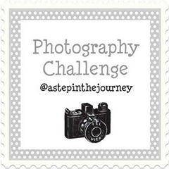 photo challenge button_2