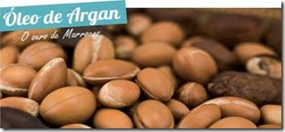 oleo de argan oleo de argan