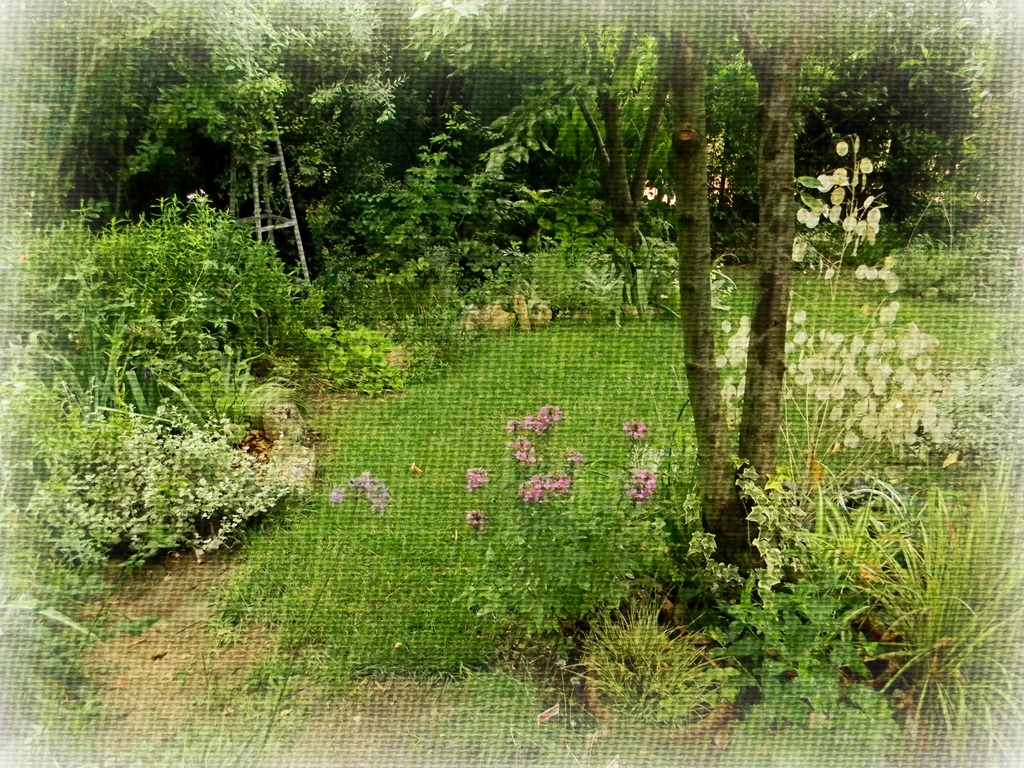 [DSCN9772-1%255B4%255D.jpg]