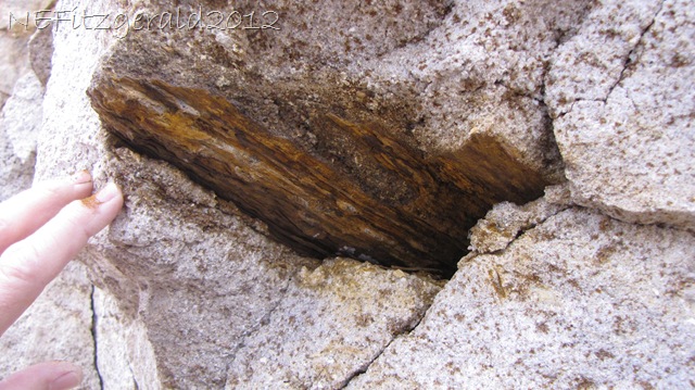 [IMG_0977PetrifiedWoodFragmentIn%2520Shinarump%2520Conglomerate%255B8%255D.jpg]