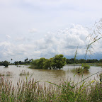 IMG_9019.JPG