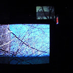 CIMG0459.JPG
