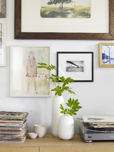 The white background highlights the beautifully shaped leaves of bleeding heart.