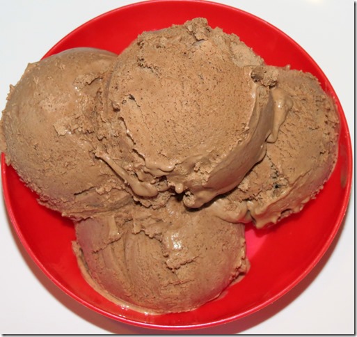 Mexican Chocolate Ice Cream 3