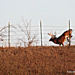 road side 2012 2.jpg