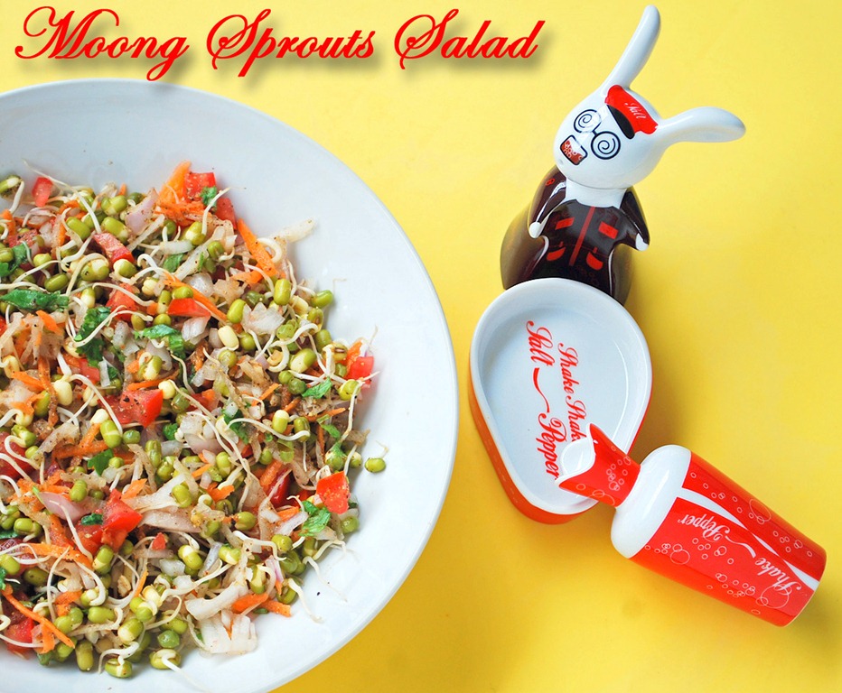 [moong-sprouts-recipe-1%255B13%255D.jpg]