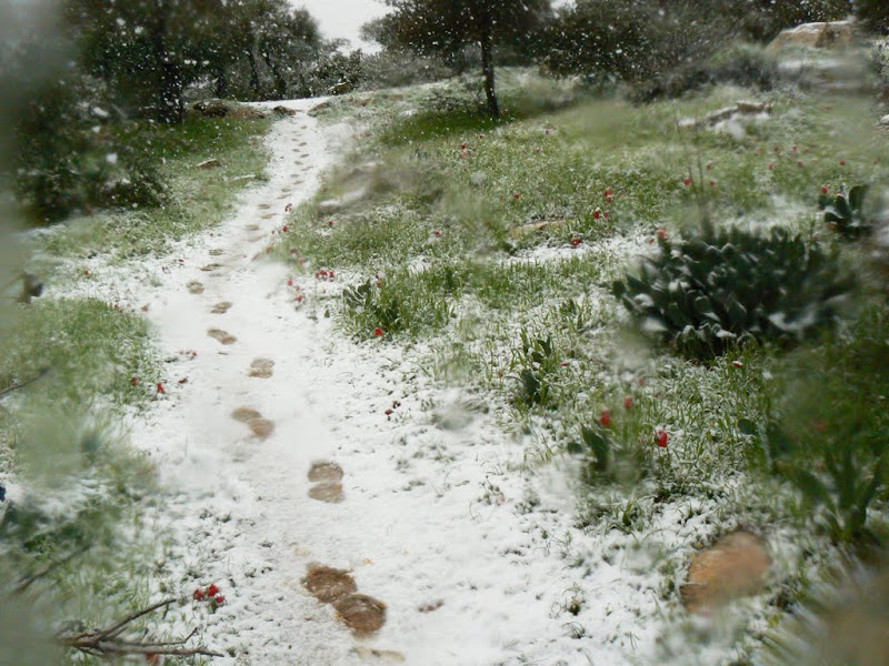 В Иерусалиме снег!!!!