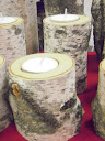 Birch tree candle holders.