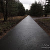 dsc05212.jpg