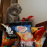 queen of chips