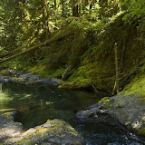 IMG_8807.jpg