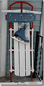 Winter_Sled2009