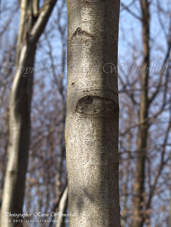 [P1012751RjagserdigalltRCvtnm4.jpg]