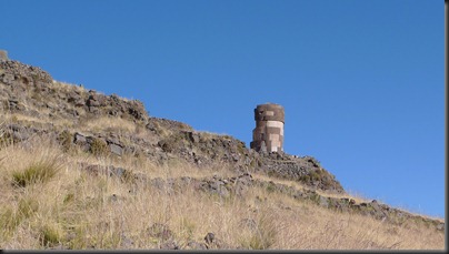 P1080224 P1080224