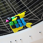 IMG_87842.jpg
