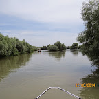 IMG_5234.JPG