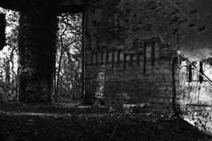 Nettleham Hall 13 - Film