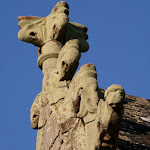 IMG_1180.JPG