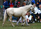 Vitsy f 2009 e Darius Roll u Narciss e Rusch