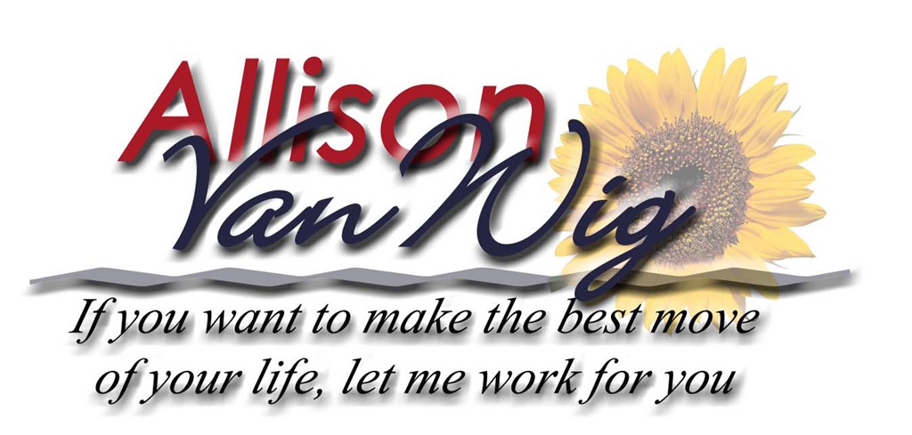 [AllisonVanWigLogo2008%255B4%255D.jpg]