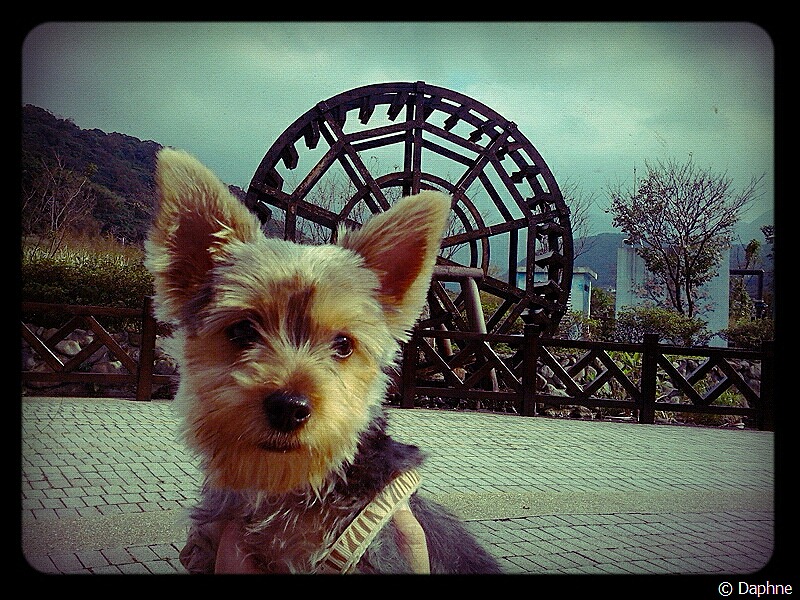 [2012-11-06-14-26-29%255B4%255D.jpg]