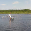 DSC00662.JPG