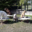 Gruppe_Trampolin_2.jpg