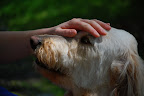 DSC_0188.JPG