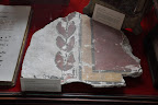 _DSC4025.JPG :: Date: Jan 30, 2012, 3:31 PMNumber of Comments on Photo:0View Photo 